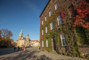 Krakau: rondleiding door het Wawel-kasteel