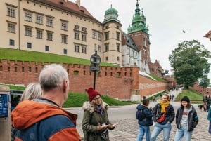 Cracovia: tour guiado a pie por el castillo de Wawel