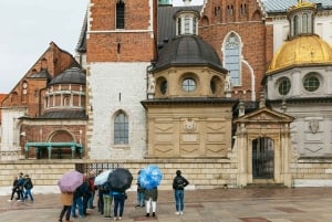 Cracovia: tour guiado a pie por el castillo de Wawel