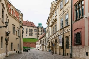 Cracovia: tour guiado a pie por el castillo de Wawel