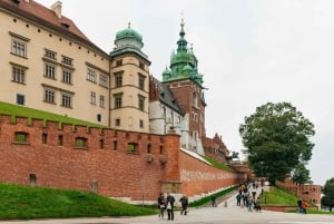 Cracovia: tour guiado a pie por el castillo de Wawel