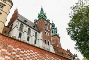 Cracovia: tour guiado a pie por el castillo de Wawel