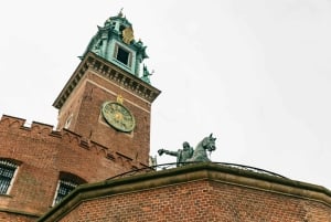 Cracovia: tour guiado a pie por el castillo de Wawel