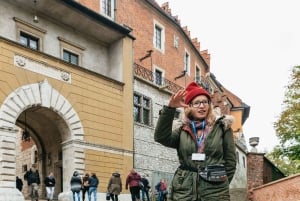 Cracovia: tour guiado a pie por el castillo de Wawel