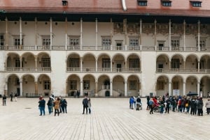 Cracovia: tour guiado a pie por el castillo de Wawel