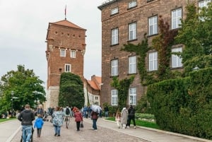 Cracovia: tour guiado a pie por el castillo de Wawel