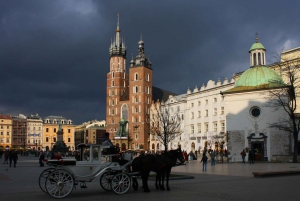 Krakow: Skip-the-Line Wawel Castle & Old Town Guided Tour