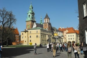 Krakow: Wawel Castle Private Tour and Skip-the-Line Ticket