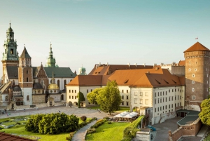 Krakow: Wawel Castle Private Walking Tour