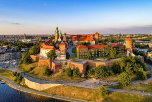 Cracovia: tour privato a piedi del castello di Wawel