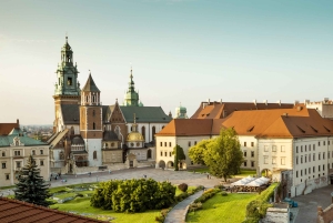 Cracovia: tour privato a piedi del castello di Wawel