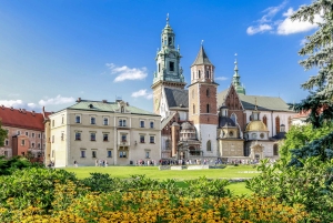 Cracovia: tour privato a piedi del castello di Wawel