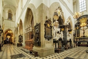 Cracovia: Tour guidato della Cattedrale di Wawel con biglietto d'ingresso