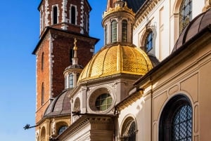 Cracovia: Tour guidato della Cattedrale di Wawel con biglietto d'ingresso