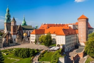 Cracovia: Tour guidato della Cattedrale di Wawel con biglietto d'ingresso