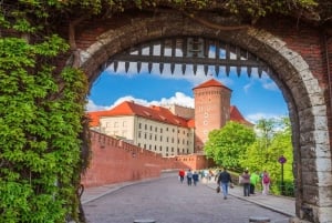 Cracovia: Tour guidato della Cattedrale di Wawel con biglietto d'ingresso