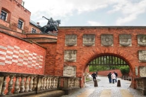 Cracovia: Tour guidato della Cattedrale di Wawel con biglietto d'ingresso