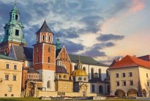 Cracovia: Tour guidato della Cattedrale di Wawel con biglietto d'ingresso