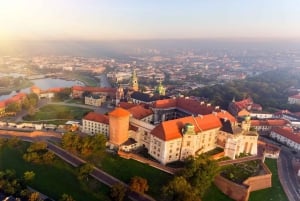 Cracovia: Tour guidato della Cattedrale di Wawel con biglietto d'ingresso