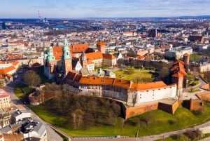 Cracovia: Tour guidato della Cattedrale di Wawel con biglietto d'ingresso