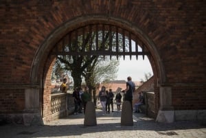 Krakow: Wawel Royal Hill Guided Tour