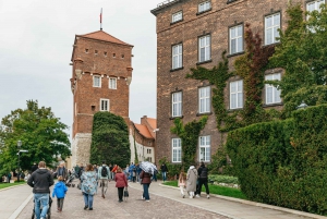 De Cracóvia: Excursão Guiada à Colina Real de Wawel