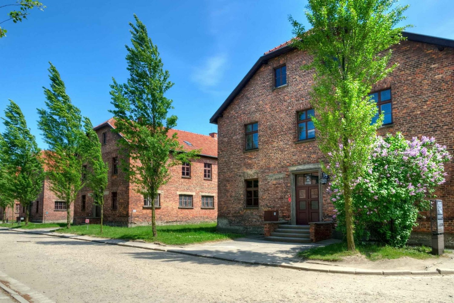 Krakow: Wieliczka Salt Mine and Auschwitz-Birkenau Tour