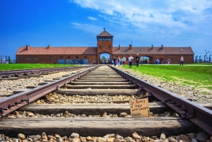 Krakow: Wieliczka saltgruve og Auschwitz-Birkenau-tur