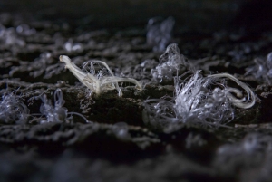 Krakau: Führung durch das Salzbergwerk Wieliczka & Tickets