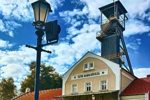 Cracovie : visite guidée de la mine de sel de Wieliczka avec billet d'entrée
