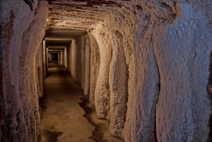 Cracovie : Visite guidée de la mine de sel de Wieliczka avec transport