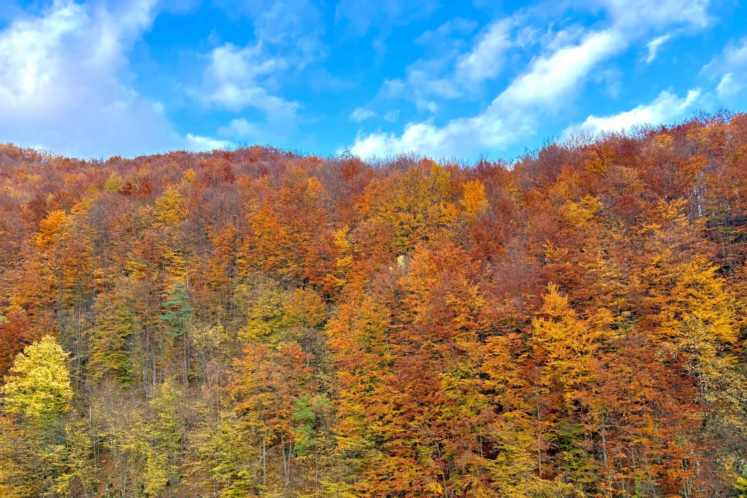 Krakau: Zakopane en Chochołowskie-bad, een hele dagtrip