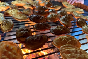 Krakau: Zakopane en Chochołowskie-bad, een hele dagtrip