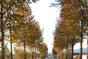 Krakau: Zakopane en Chochołowskie-bad, een hele dagtrip