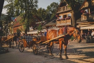Kraków: Zakopane taubane, brennevin, smaksprøver og termiske bad