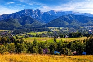 Kraków: Zakopane, svævebane, Tatrabjergene og naturskønne udsigter