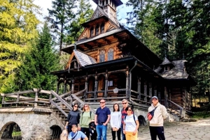 Kraków: Zakopane, svævebane, Tatrabjergene og naturskønne udsigter