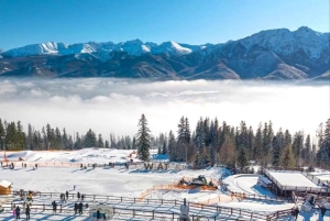 Kraków: Zakopane, svævebane, Tatrabjergene og naturskønne udsigter