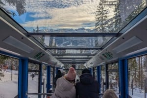 Krakow: Zakopane linbana, vodka, ost och varma källor