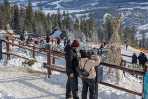 Krakow: Zakopane linbana, vodka, ost och varma källor