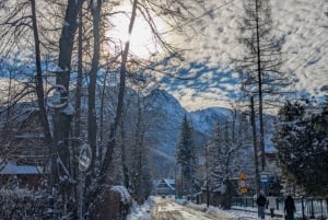 Krakow: Zakopane linbana, vodka, ost och varma källor