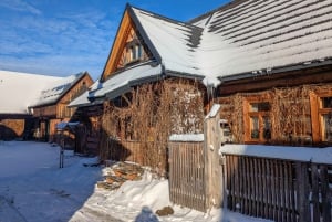 Krakow: Zakopane linbana, vodka, ost och varma källor