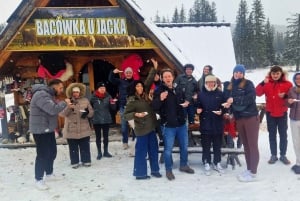 Krakow: Zakopane linbana, vodka, ost och varma källor