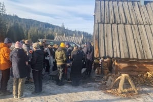 Krakow: Zakopane linbana, vodka, ost och varma källor