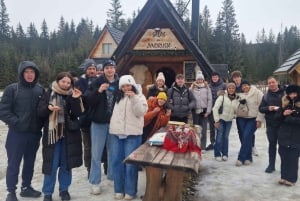 Krakow: Zakopane linbana, vodka, ost och varma källor