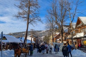 Krakow: Zakopane linbana, vodka, ost och varma källor