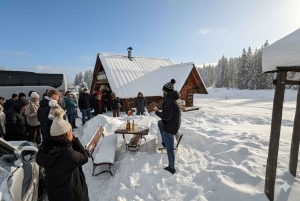 Krakow: Zakopane Cable Car, Vodka, Tasting & Thermal Springs