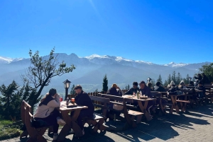 Krakow: Zakopane Cable Car, Vodka, Tasting & Thermal Springs