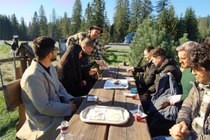 Krakow: Zakopane Cable Car, Vodka, Tasting & Thermal Springs