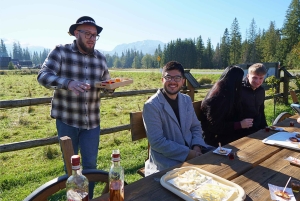 Krakow: Zakopane Cable Car, Vodka, Tasting & Thermal Springs